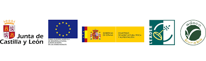 Logos JCyL Europa Adeco y Leader