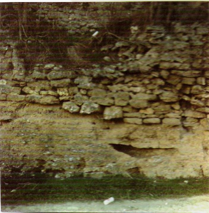 Necrópolis de tumbas antropomorfas en Quintnailla San García Burgos