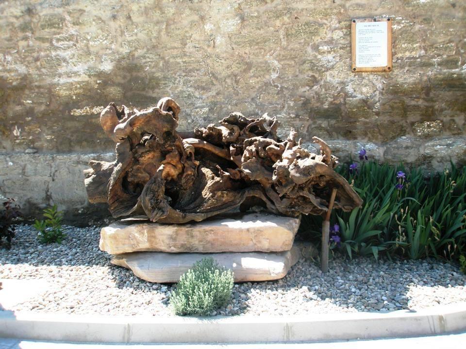 MONUMENTO AL OLMO